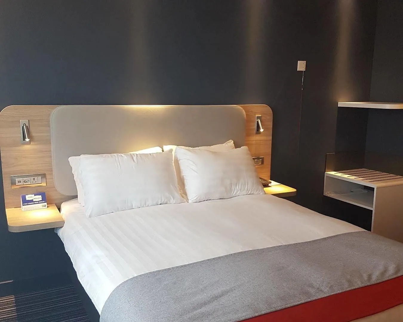 Holiday Inn Express Geneva Airport, An Ihg Hotel Zwitserland